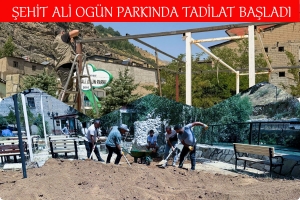 Şehit Ali Og&uuml;n Parkında Tadilat Başladı