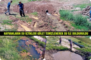 Hayvanların Su İ&ccedil;tikleri G&ouml;let Temizlenerek Su ile Dolduruldu