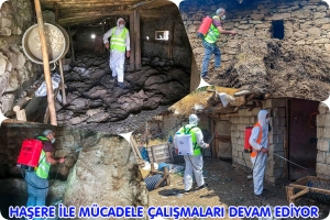 Haşere İle M&uuml;cadele &Ccedil;alışmaları Devam Ediyor