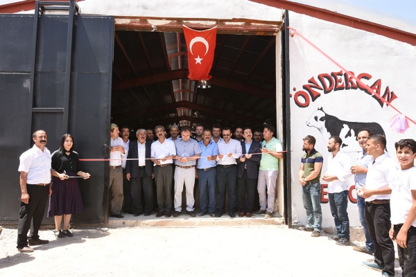 Besi &Ccedil;iftliğinin A&ccedil;ılışı Yapıldı