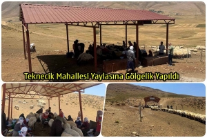 Teknecik Mahallesi Yaylasına G&ouml;lgelik Yapıldı