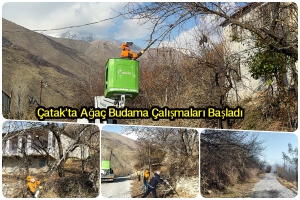 &Ccedil;atak&rsquo;ta Ağa&ccedil; Budama &Ccedil;alışmaları Başladı